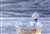 お茶友シリーズ NARUTO -ナルト- 疾風伝 木ノ葉のブレイクタイム 8個セット (フィギュア) 商品画像5