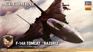 F-14A Tomcat `Ace Combat Razgriz Squadron` (Plastic model)