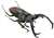 Insect Hunter Beetle & Stag Beetle 10 pieces (Shokugan) Item picture6