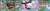 ポケモンプラモコレクション セレクトシリーズ イベルタル＆ディアンシーセット (プラモデル) 商品画像4