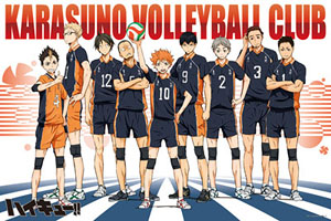 Karasuno High School Volleyball Club (Anime Toy)