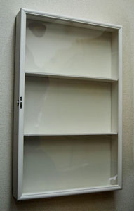 Wall Hanging Display Case For 27cm Doll (Two-stage)