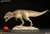 ダイナソーリア/ ティラノサウルス Tレックス ザ・タイラント・キング ジオラマ スタチュー (完成品) 商品画像3