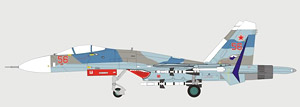 Su-27 ロシア空軍 23rd IAP #56 (完成品飛行機)