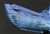 1/350 蒼き鋼のアルペジオ -アルス・ノヴァ- 潜水艦 イ401 with イオナ (完成品) 商品画像3