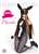 ZC World Bunny girl Phoebe Japan Exlusive 1/6 Action Figure (Fashion Doll) Item picture1