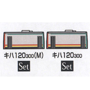 JR Series Kiha120 Diesel Car (Takayama Line) (2-Car Set) (Model Train)