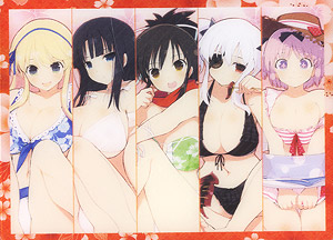 キャラクターデッキケース 閃乱カグラ 国立半蔵学院 (カードサプライ)