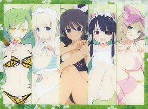 キャラクターデッキケース 閃乱カグラ 焔紅蓮隊 (カードサプライ)