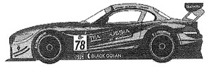 BMW Z4 `Team Russia` #78 Silverstone ELMS 2014 (Decal)