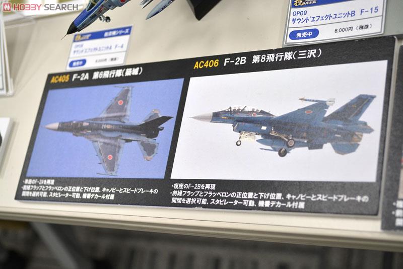 航空自衛隊 F-2B 三沢 (プラモデル) その他の画像2