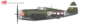 P-47D レイザーバック `第334戦闘飛行隊 スペシャル` (完成品飛行機)