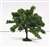 Chestnut Tree (40mm) (3pcs.) (Model Train) Other picture1