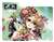 Character Deck Case Collection Max Z/X -Zillions of enemy X- [Green Bow Shooter Fille] (Card Supplies) Item picture3