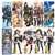 Kantai Collection Clear Bookmark Collection 15 pieces (Anime Toy) Item picture2