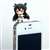 Kantai Collection Earphone Jack Figure Vol.1 5 pieces (Anime Toy) Other picture1