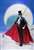 S.H.Figuarts Tuxedo Mask (Completed) Item picture4