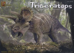 Triceratops (Plastic model)
