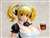 Super Pochaco Beer Maid Ver. 1/6 Scale PVC Figure (PVC Figure) Other picture3