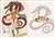 The Seven Deadly Sins Sheet Diane (Anime Toy) Item picture1