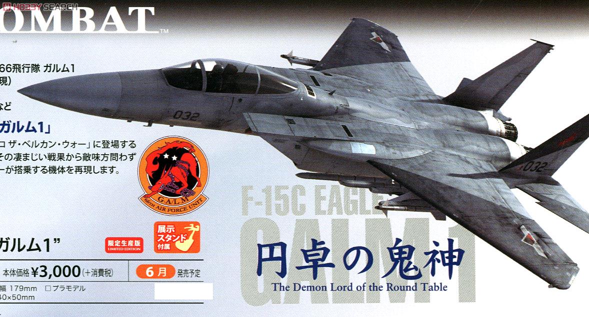 F-15C Eagle `Ace Combat GALM 1` (Plastic model F-15C Eagle `Ace Combat GALM 1` (Plastic model