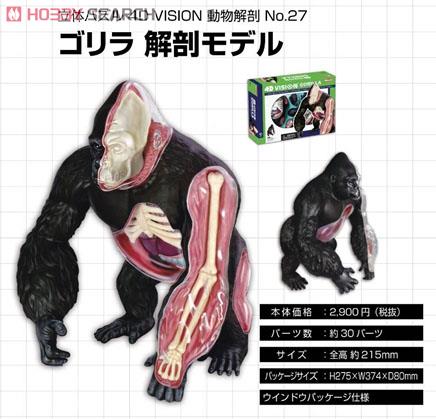 3D Puzzle 4D VISION Zootomy Gorilla Anatomical Model (Plastic model) Item picture1
