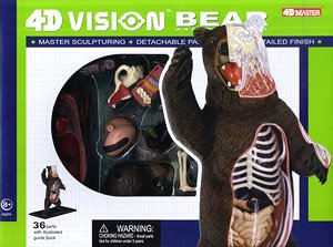 立体パズル 4D VISION 動物解剖 熊 解剖モデル (プラモデル)