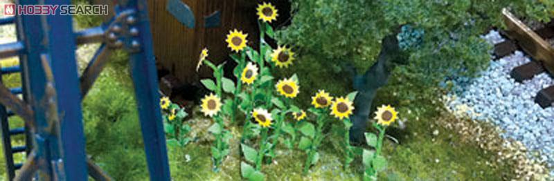 95523 (HO) ひまわり (16本セット) (Flowering Plants - Sunflowers, 16/pk 1`` Height (2.54cm)) (鉄道模型) その他の画像1