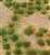 95602 (HO) ジオラマシート 草地 (草むら付) (Landscape Detailing - Wild Grassland, 5``x7``) (12.7cm×17.8cm) (鉄道模型) 商品画像1