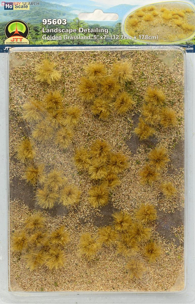 95603 (HO) ジオラマシート 乾燥した草地 (枯れ草付) (Landscape Detailing - Golden Grassland, 5``x7``) (12.7cm×17.8cm) 商品画像2