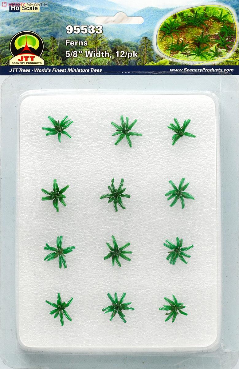 95533 (HO) シダ (12本セット) (Gardening Plants - Ferns 5/8`` Width, 12/pk) (鉄道模型) 商品画像1