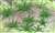 95533 (HO) シダ (12本セット) (Gardening Plants - Ferns 5/8`` Width, 12/pk) (鉄道模型) その他の画像1