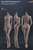 ファイセン・リミテッド 1/6 スーパーフレキシブル 女性シームレスボディ サンタンシリーズ ミドルバスト (ドール) 商品画像1
