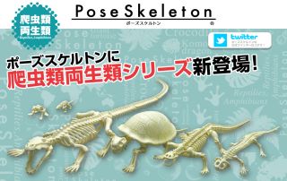 dragon skeleton toy