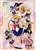 Sailor Guardian Assembly! (Jigsaw Puzzles) Item picture1