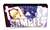 「Fate/stay night[UMB]」 カードファイル 「セイバー」 (カードサプライ) 商品画像1