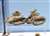 ガールズ&パンツァー 八九式中戦車甲型 エンディングVer. プラモデル (プラモデル) その他の画像2