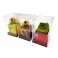 [Miniatuart] Display Case for Miniatuart Mini (81x81x25mm) (Railway Related Items) その他の画像1 Thumbnail