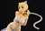 Lucy Heartfilia White Cat Gravure_Style (PVC Figure) Item picture7