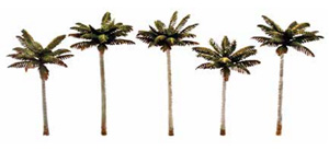 TR3597 (N・HO・O) ヤシの木 (Palm Trees) (5本入り) (鉄道模型)