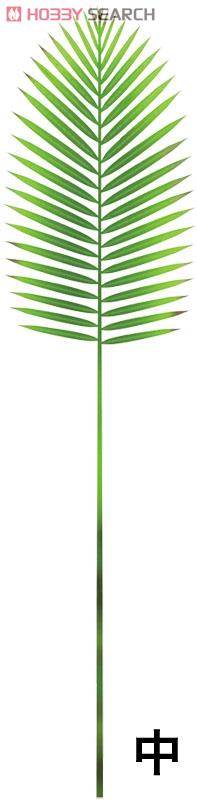 植物キットシリーズNo.1 アレカヤシ・エッチングキット (ドール) 商品画像3