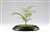 Plant Kit Series No.1 Dypsis Lutescens Photo-Etched Kit Other picture1