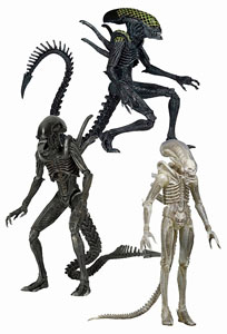 Alien/ 7 inch Action Figure Series 7 (Set of 3) (Completed)