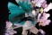 セイバー/沖田総司 (フィギュア) 商品画像7 サムネイル