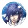 オトメイト 布缶バッジコレクション 薄桜鬼 Vol.1 10個セット (キャラクターグッズ) 商品画像3 サムネイル