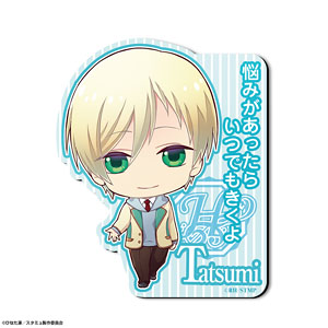 [Star-Mu] Magnet Sheet Design 6 (Rui Tatsumi) (Anime Toy)