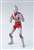 S.H.Figuarts Ultraman 50th Anniversary Edition (Completed) Item picture3