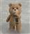 figma Ted (Completed) Item picture2