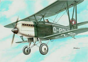 Arado Ar-65 Luftpolizei (Plastic model)