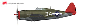 P-47D サンダーボルト `タスキーギ` (完成品飛行機)